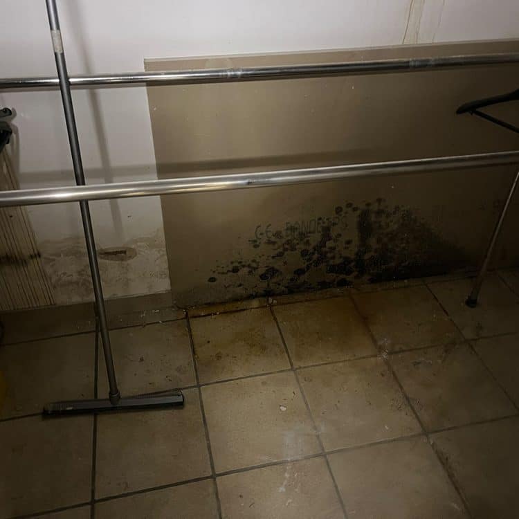 Abbildung Beispiel Schimmelsanierung 12