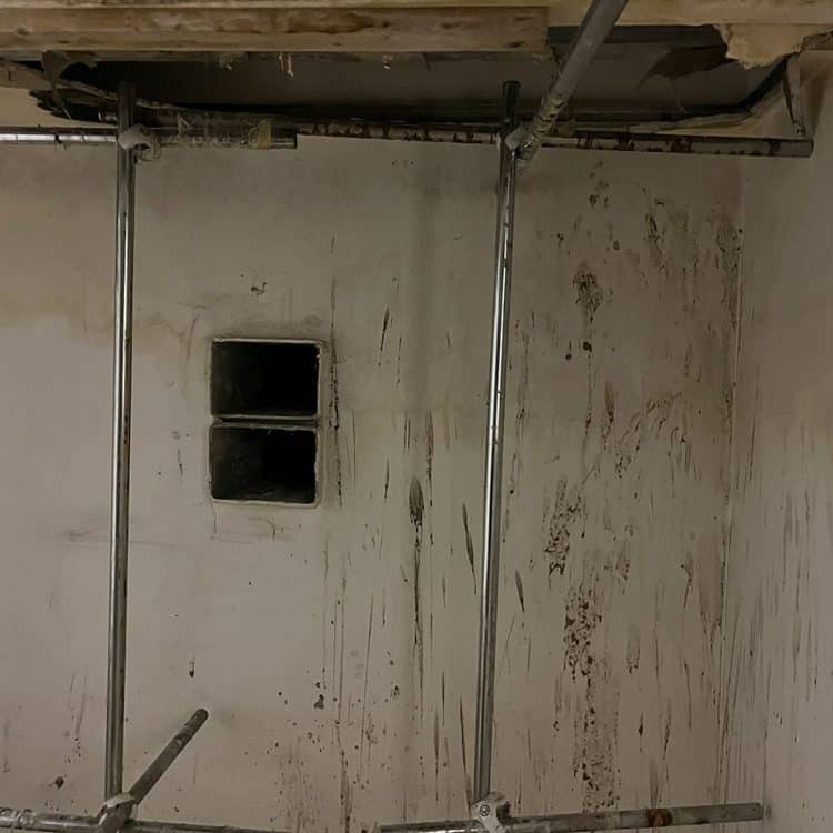 Abbildung Beispiel Schimmelsanierung 11