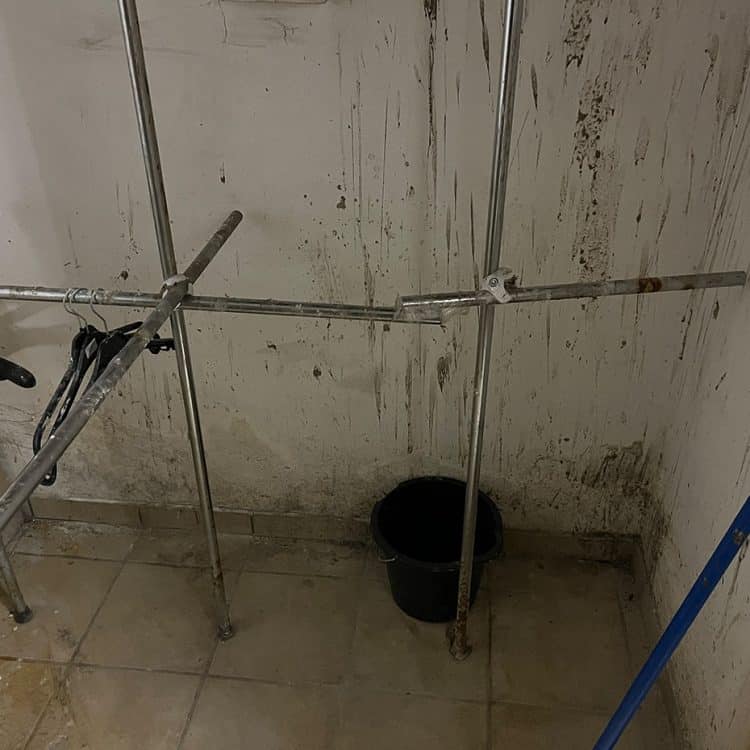 Abbildung Beispiel Schimmelsanierung 10